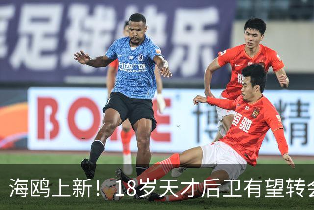 海鸥上新！18岁天才后卫有望转会英格兰，天赋顶级布莱顿要买